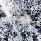 İngilizce February-Şubat Ayı