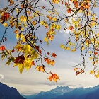 İngilizce September-Eylül Ayı